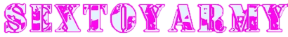 The original pink camo-letter SexToy Army wordmark